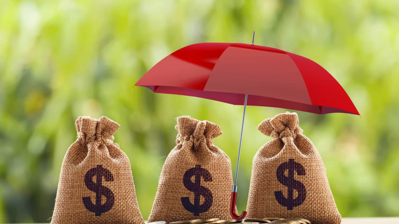 Kötü Web Sitesi Tasarımı Gelir Kaybettirir